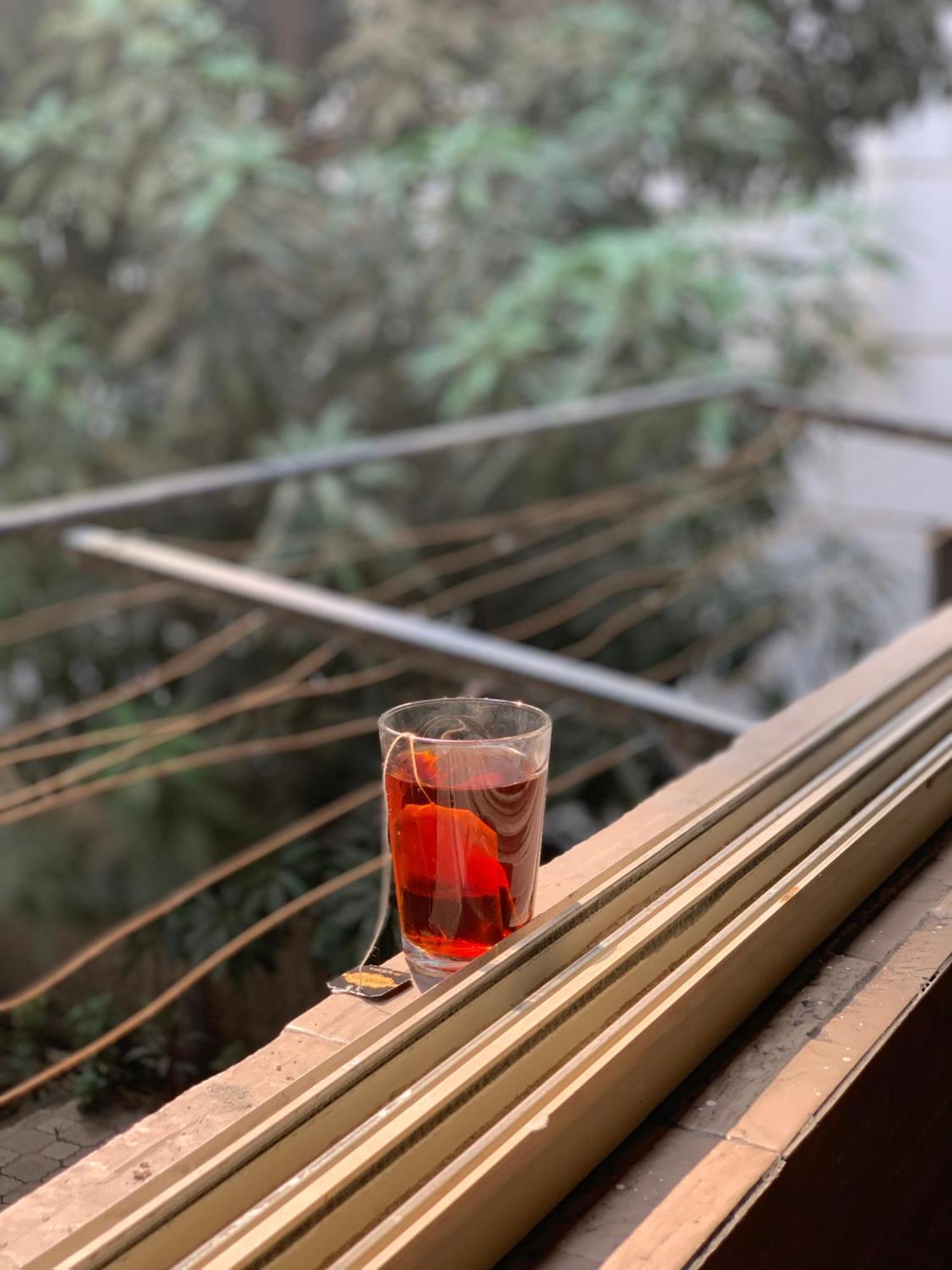 العصفور * Cairo