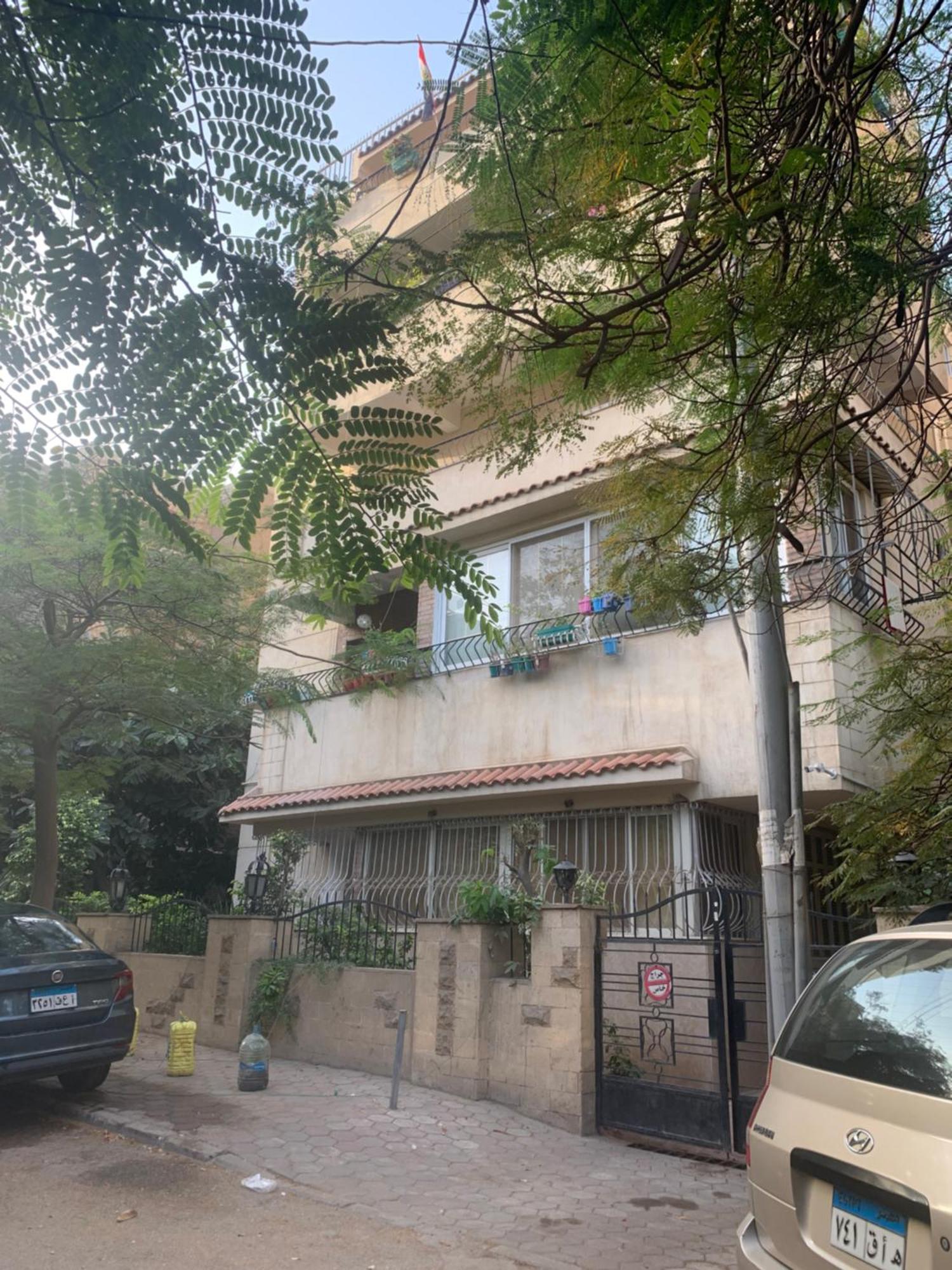 العصفور Cairo